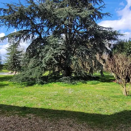 Villa Nouveau! Propriete Historique Avec Piscine, Proche Chateaux De La Loire Et Futuroscope Les Ormes (Vienne)