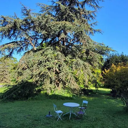 Villa Nouveau! Propriete Historique Avec Piscine, Proche Chateaux De La Loire Et Futuroscope *